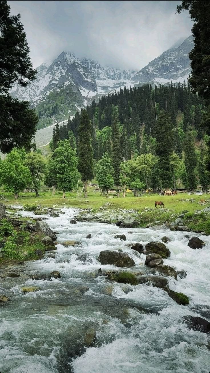 Day-4 Gulmarg → Pahalgam (2N)