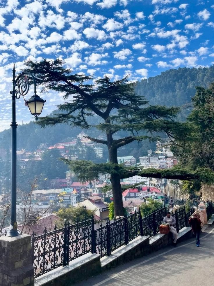 Shimla Sightseeing