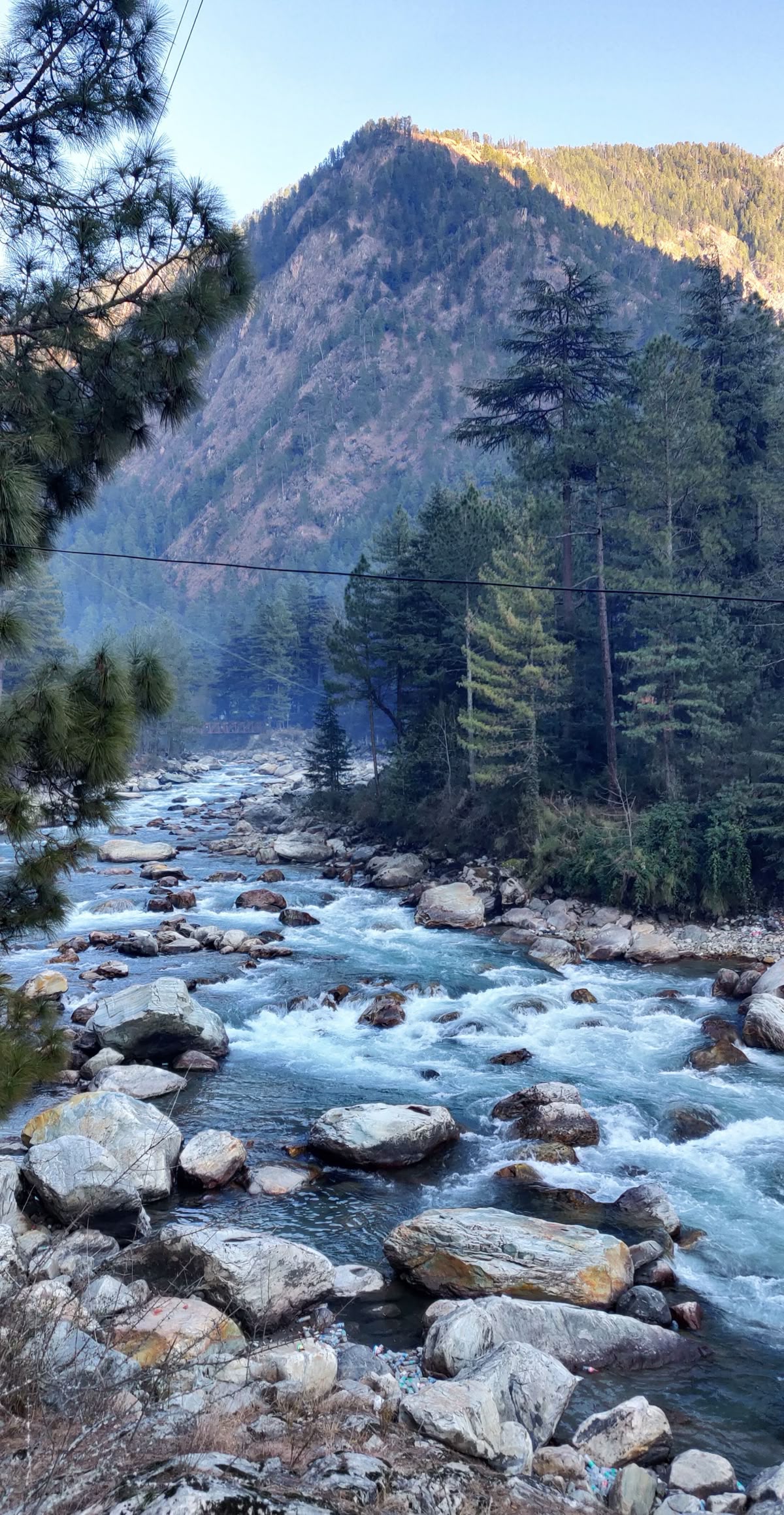 Manali Local Sightseeing